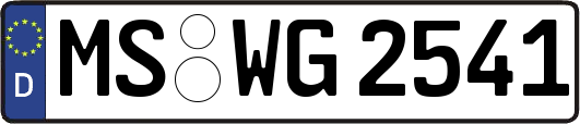 MS-WG2541