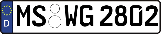 MS-WG2802
