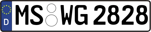 MS-WG2828
