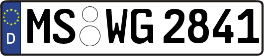 MS-WG2841