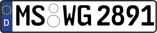 MS-WG2891