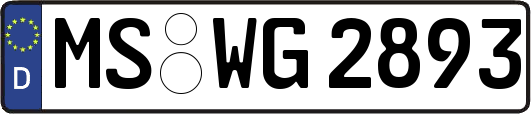 MS-WG2893