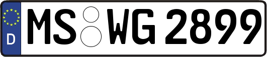 MS-WG2899