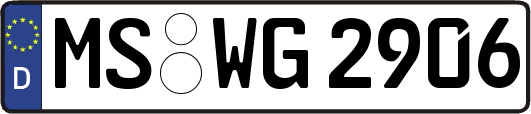 MS-WG2906