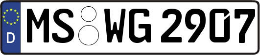 MS-WG2907