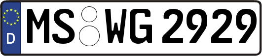 MS-WG2929