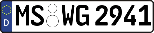 MS-WG2941