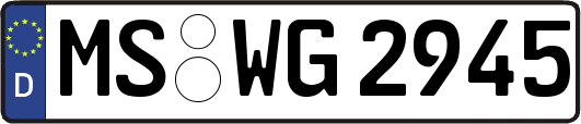 MS-WG2945