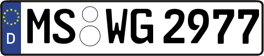 MS-WG2977