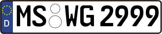 MS-WG2999