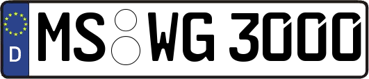 MS-WG3000