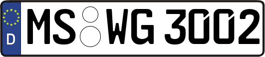 MS-WG3002