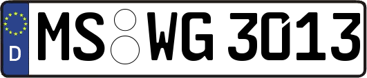 MS-WG3013