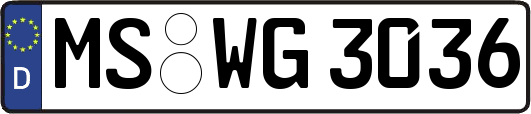MS-WG3036
