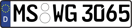 MS-WG3065