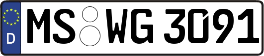 MS-WG3091