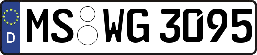MS-WG3095