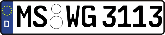 MS-WG3113