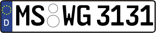 MS-WG3131