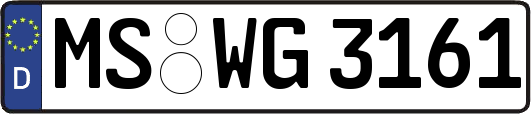 MS-WG3161