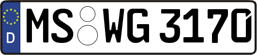 MS-WG3170