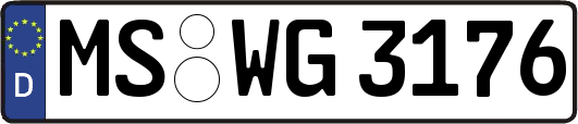 MS-WG3176