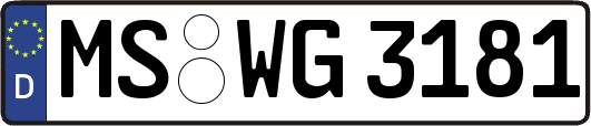 MS-WG3181