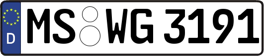 MS-WG3191