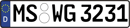 MS-WG3231
