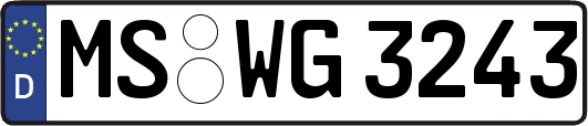 MS-WG3243
