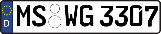 MS-WG3307