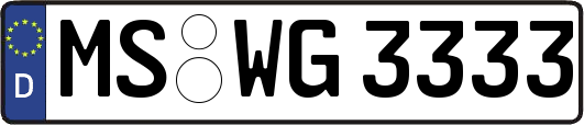 MS-WG3333