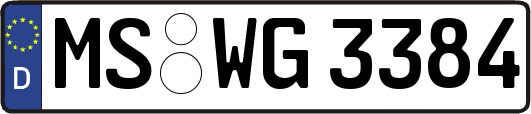 MS-WG3384