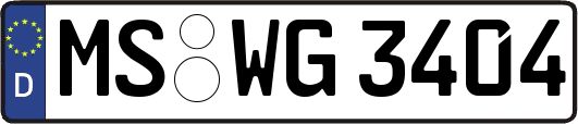 MS-WG3404