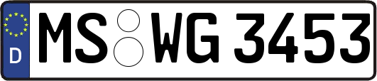 MS-WG3453