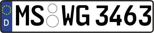 MS-WG3463