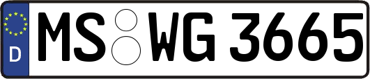 MS-WG3665