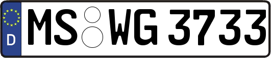 MS-WG3733