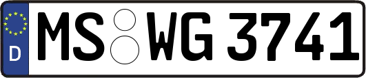 MS-WG3741