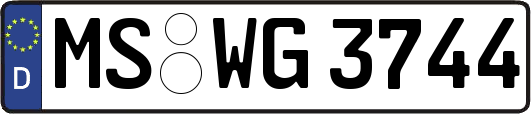 MS-WG3744
