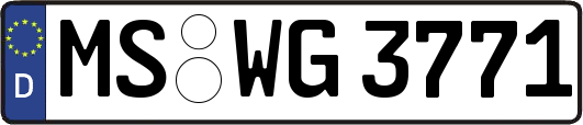 MS-WG3771