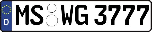 MS-WG3777
