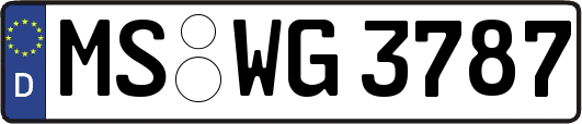 MS-WG3787