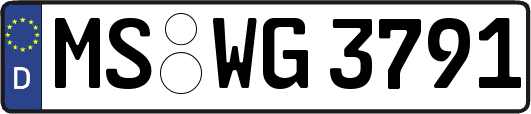MS-WG3791