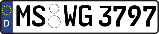 MS-WG3797