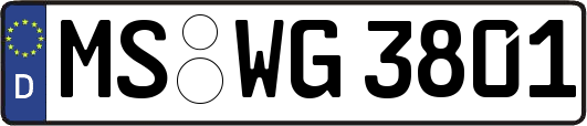 MS-WG3801