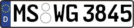 MS-WG3845
