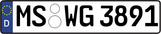 MS-WG3891