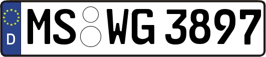 MS-WG3897