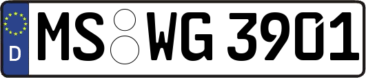 MS-WG3901